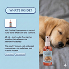 Dog Calming Spray